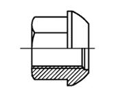 Bijon