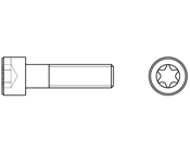 Torx Düz Silindir Baş Vida