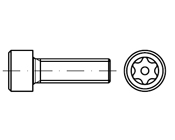 Torx Düz Silindir Baş Vida