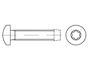 C Torx Taptite Vida (Üçgen Vida - Diş Açan Vida)