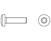 Torx Silindir Baş Vida