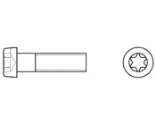 Torx Düz Silindir Baş Vida