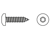 Silindir Torx Başlı Saç Vidası
