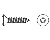 Mercimek Torx Başlı Saç Vidası