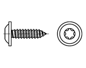 Torx Flanşlı Saç Vidası