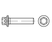 Flanşlı Torx Civata