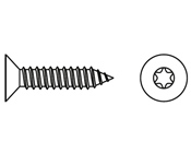 Havşa Torx Başlı Saç Vidası